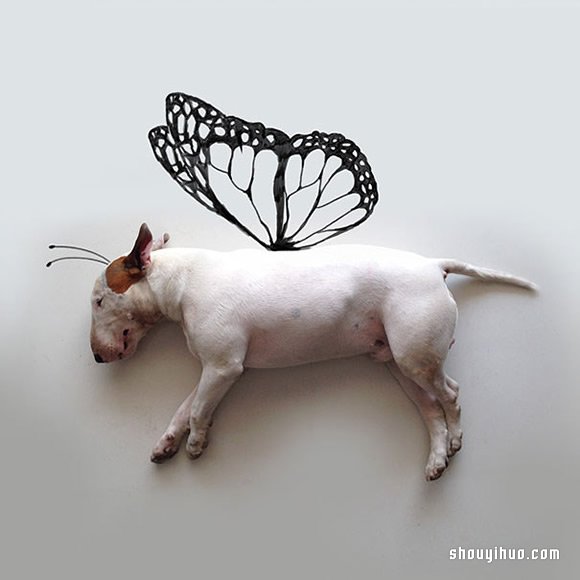 墙上涂鸦:将爱犬化成趣味插画作品