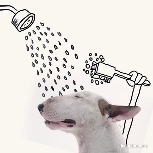 墙上涂鸦:将爱犬化成趣味插画作品