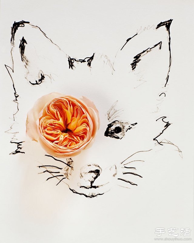 花朵与简笔画结合DIY奇妙昆虫图案