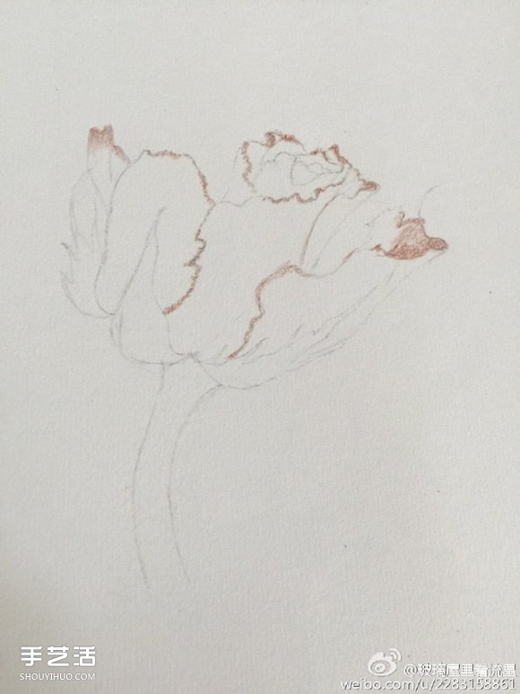 彩铅画花卉绘画教程 花朵彩铅画的画法步骤