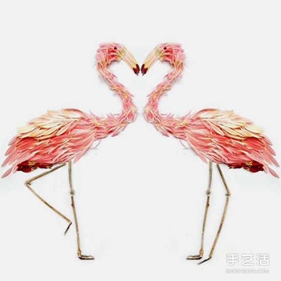 花瓣拼贴画作品图片 拼出充满异国情调的鸟类