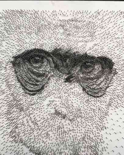 在数千个钉子周围缠绕绳子，DIY制作逼真肖像画