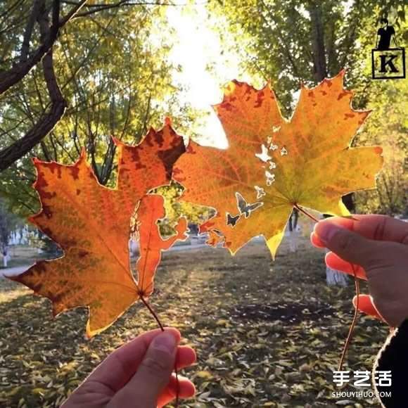 叶子切割画作品图片 精美手工叶切画图片欣赏