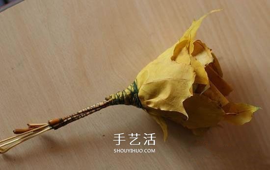 枫叶怎么做玫瑰花教程 简单枫叶玫瑰DIY方法