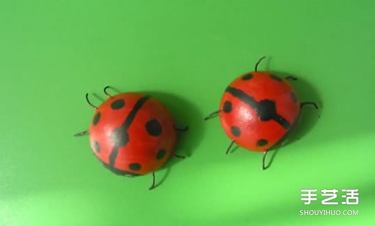 简单幼儿小手工:乒乓球制作七星瓢虫的方法