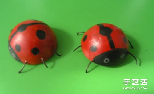 简单幼儿小手工:乒乓球制作七星瓢虫的方法