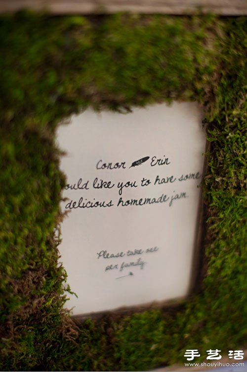 废品旧物改造:创意DIY怀旧风植物相框