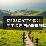 花128块买了个教训:手工 DIY 真的能省钱吗?(图2) 花128块买了个教训:手工 DIY 真的能省钱吗?(图2)