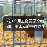 花3个月工资买了个教训:手工安静手作这事真没那么简单(图1) 花3个月工资买了个教训:手工安静手作这事真没那么简单(图1)