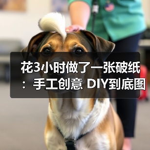花3小时做了一张破纸：手工创意 DIY到底图什么？（图3）