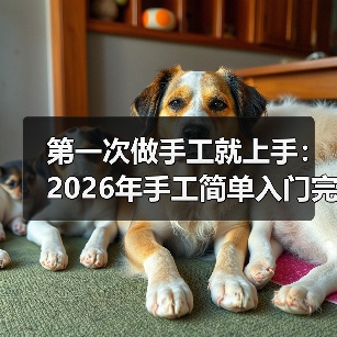 第一次做手工就上手：2026年手工简单入门完全指南（图2）