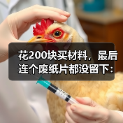 花200块买材料,最后连个废纸片都没留下:手工纸雕避坑指南(图2) 花200块买材料,最后连个废纸片都没留下:手工纸雕避坑指南(图2)