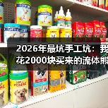 2026年最坑手工坑：我花2000块买来的流体熊教训（图2）