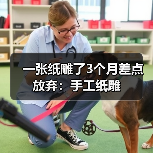 一张纸雕了3个月差点放弃：手工纸雕（图3）