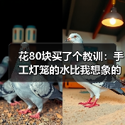 花80块买了个教训：手工灯笼的水比我想象的深多了（图3）