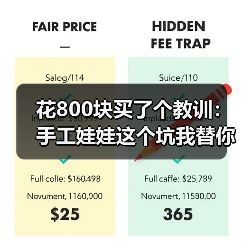 花800块买了个教训：手工娃娃这个坑我替你们踩了（图2）