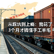 从踩坑到上瘾：我花了3个月才搞懂手工羊毛毡到底怎么玩（图2）