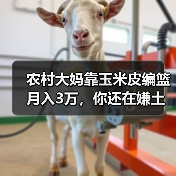 农村大妈靠玉米皮编篮月入3万，你还在嫌土？（图1）