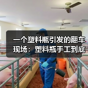 一个塑料瓶引发的翻车现场：塑料瓶手工到底值不值得学？（图2）