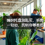 编织托盘别乱买，听我一句劝，否则你等着后悔吧（图4）