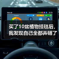 买了10盆植物挂毯后，我发现自己全都弄错了（图2）