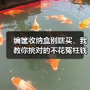 编筐收纳盒别瞎买，我教你挑对的不花冤枉钱（图2）