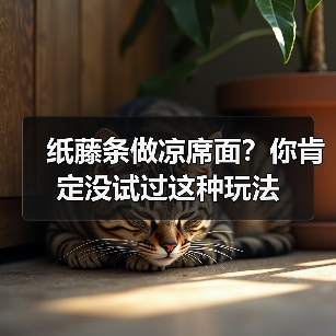 纸藤条做凉席面?你肯定没试过这种玩法(图4) 纸藤条做凉席面?你肯定没试过这种玩法(图4)