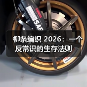 柳条编织 2026:一个反常识的生存法则(图1) 柳条编织 2026:一个反常识的生存法则(图1)