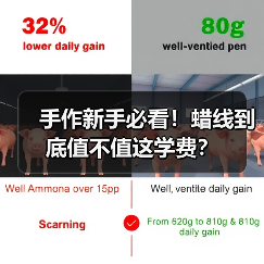 手作新手必看!蜡线到底值不值这学费?(图1) 手作新手必看!蜡线到底值不值这学费?(图1)