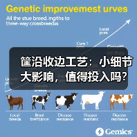 筐沿收边工艺:小细节大影响,值得投入吗?(图4) 筐沿收边工艺:小细节大影响,值得投入吗?(图4)