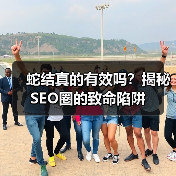 蛇结真的有效吗?揭秘SEO圈的致命陷阱(图1) 蛇结真的有效吗?揭秘SEO圈的致命陷阱(图1)