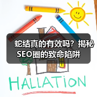 蛇结真的有效吗?揭秘SEO圈的致命陷阱(图4) 蛇结真的有效吗?揭秘SEO圈的致命陷阱(图4)