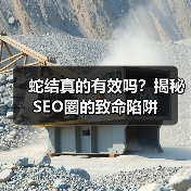 蛇结真的有效吗?揭秘SEO圈的致命陷阱(图3) 蛇结真的有效吗?揭秘SEO圈的致命陷阱(图3)