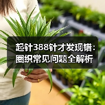 起针388针才发现错：圈织常见问题全解析（图4）