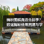 编织图解真适合新手？数据揭秘使用困境与学习效率真相（图3）