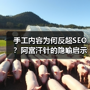 手工内容为何反超SEO？阿富汗针的隐喻启示（图3）